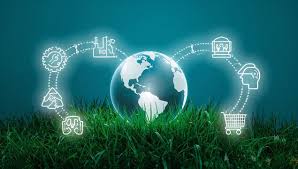 Eco Consulting